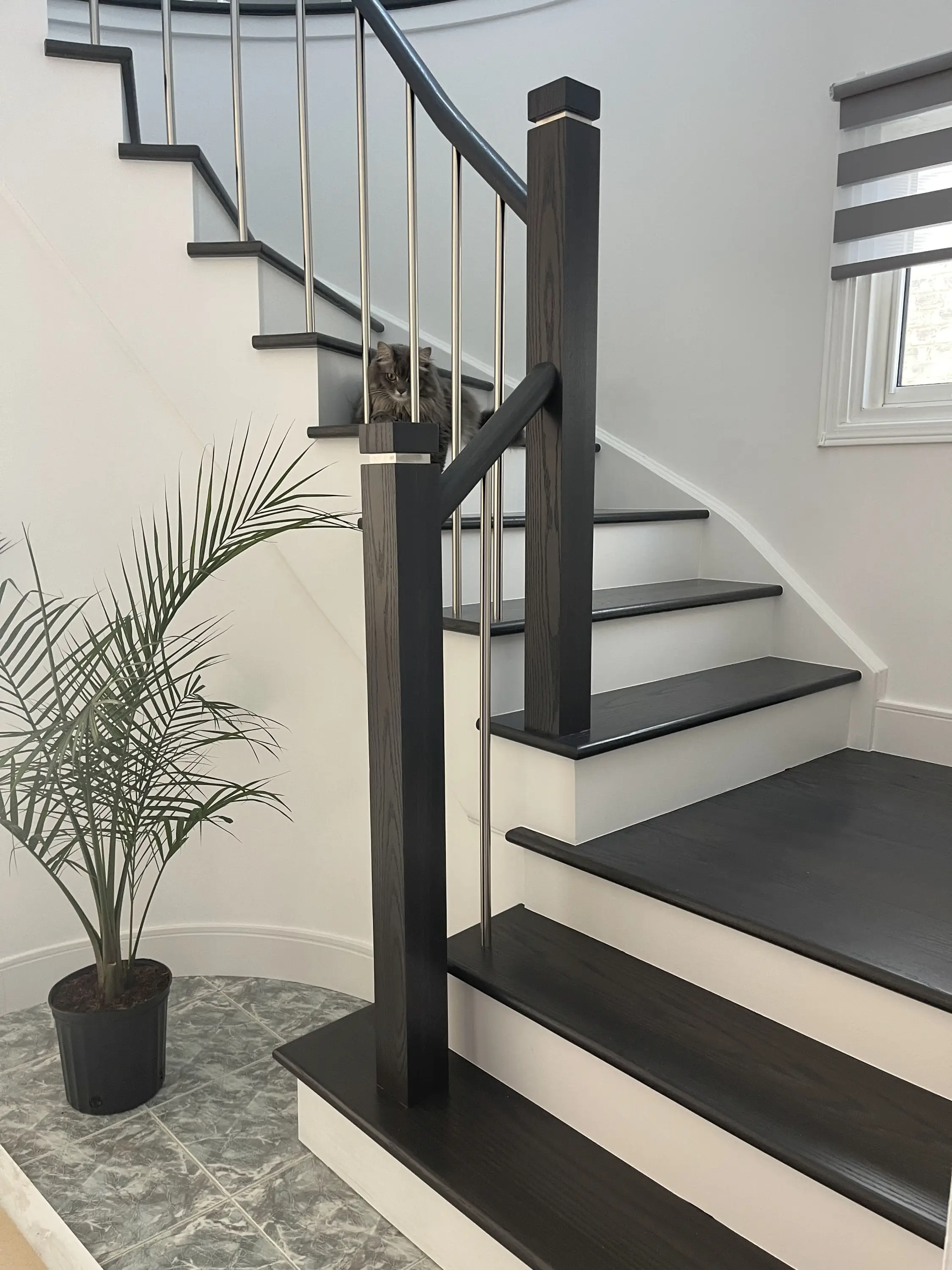 Hardwood staircase with stainless steel balusters and a modern handrail, blending luxury and simplicity.
