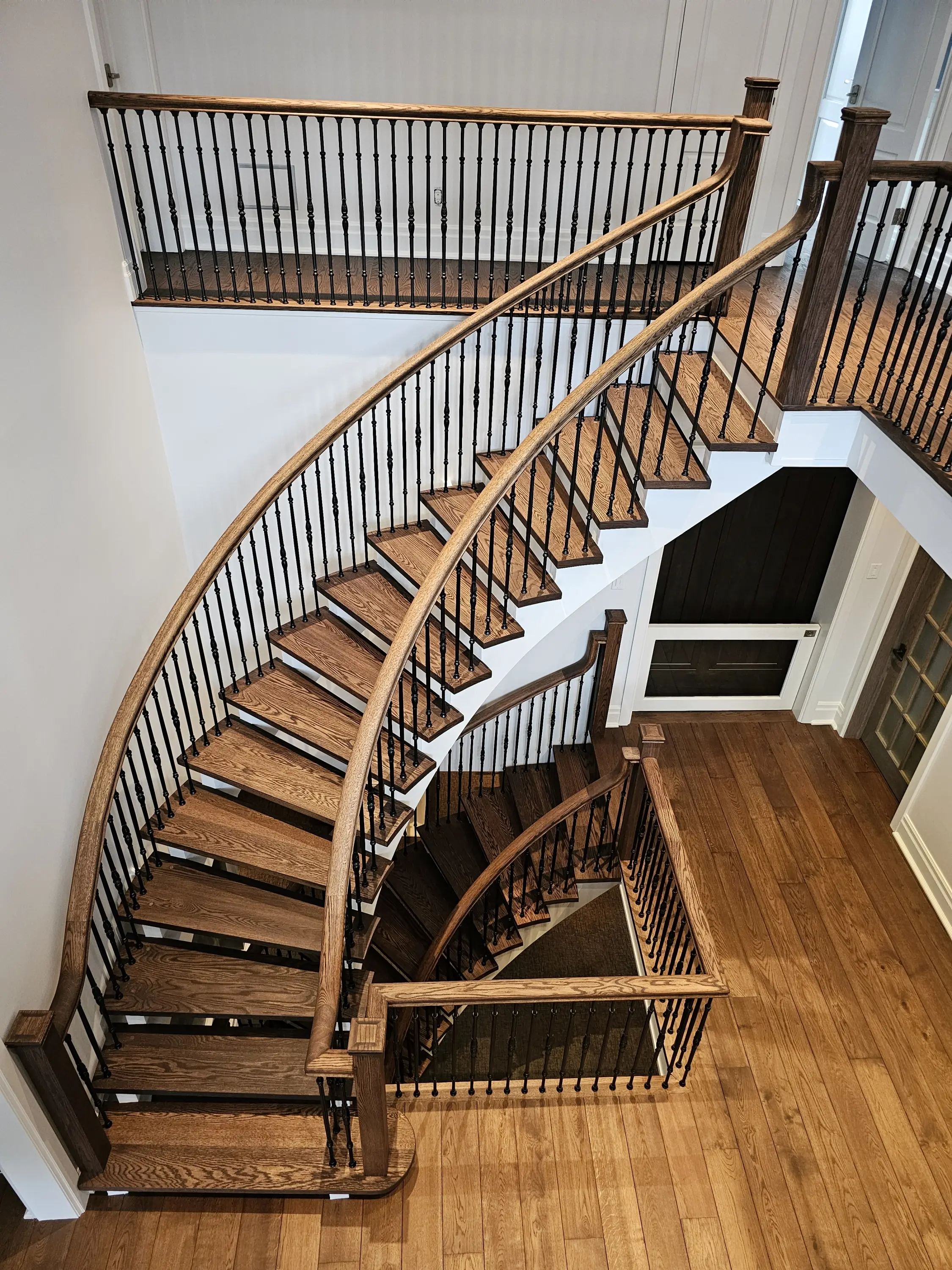 Contemporary spiral staircase renovation with dark hardwood steps and sculptural railings.